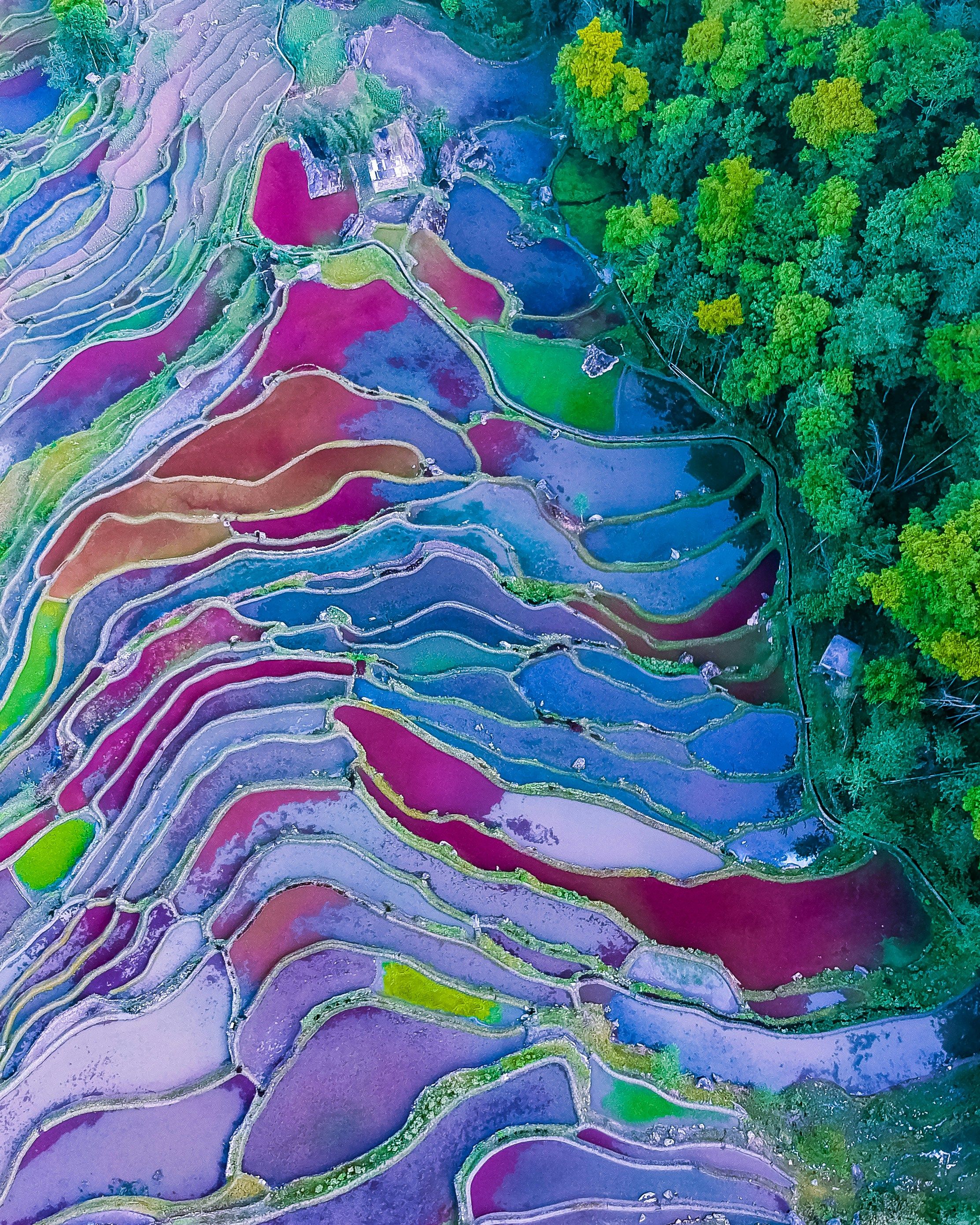 Nature images, representing sustainable business practices